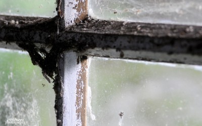 På besøk til en ikke altfor fjern fortid