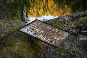 Detalj fra Stifoss (Nikon Df, Lensbaby Velvet 56 + teleconvertor)